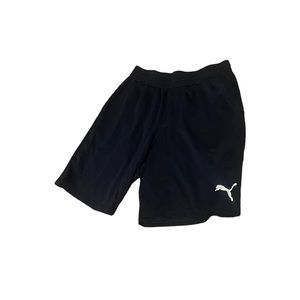 Puma Men’s Shorts